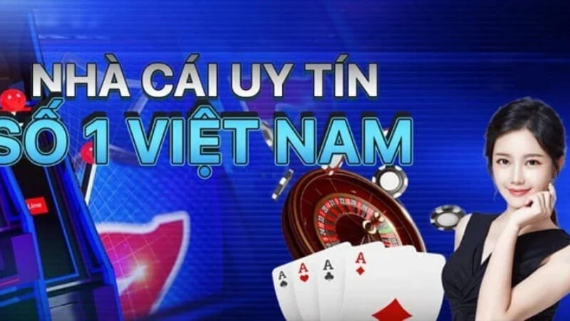 Quy định về các điều khoản tại S6666 là gì?