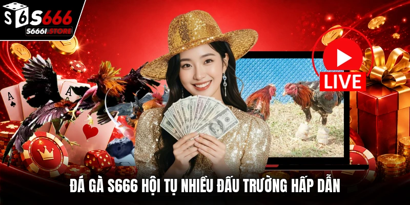 Đá gà S666 hội tụ nhiều đấu trường hấp dẫn