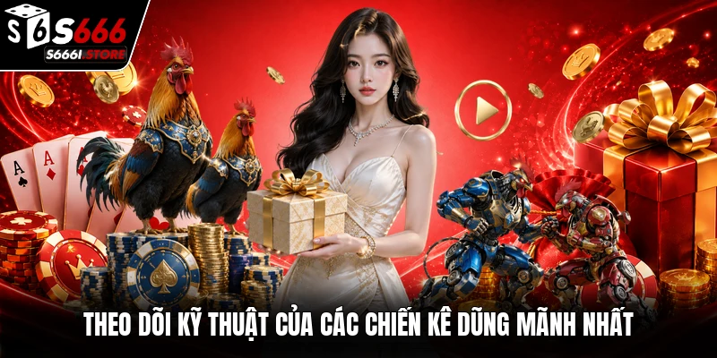 Theo dõi kỹ thuật của các chiến kê dũng mãnh nhất